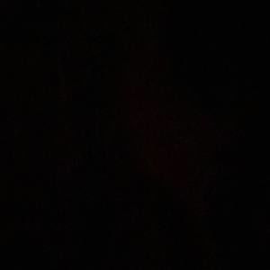 Meet your Posher, Genesis